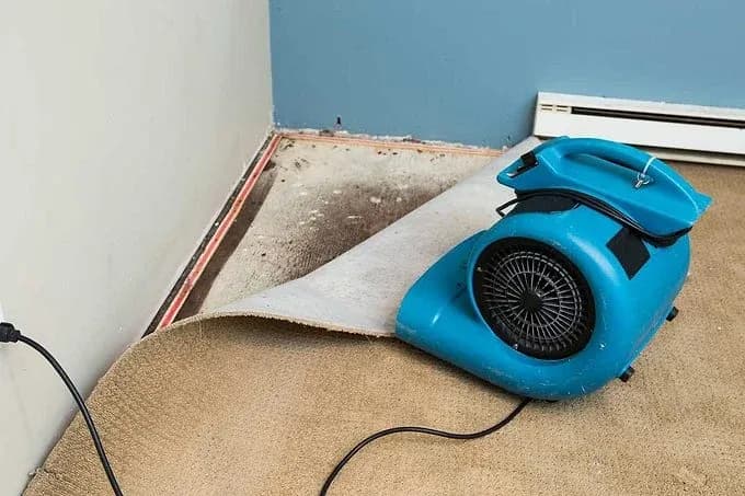 Air Movers & Drying Gear